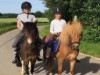 Bild 19