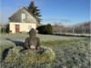 Bilde 4