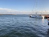 Billede 31