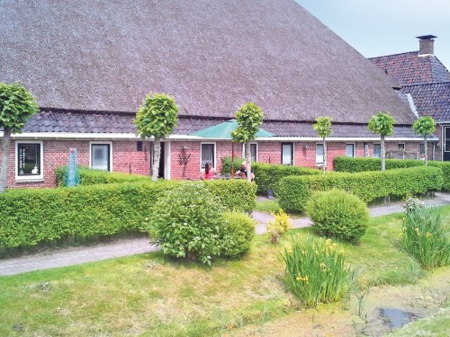 Holiday apartment - 4 persons -  - De Buorren - 9136 PV - Paesens