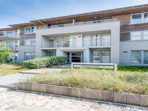 Ferieleilighet - 6 personer -  - 8670 - Koksijde