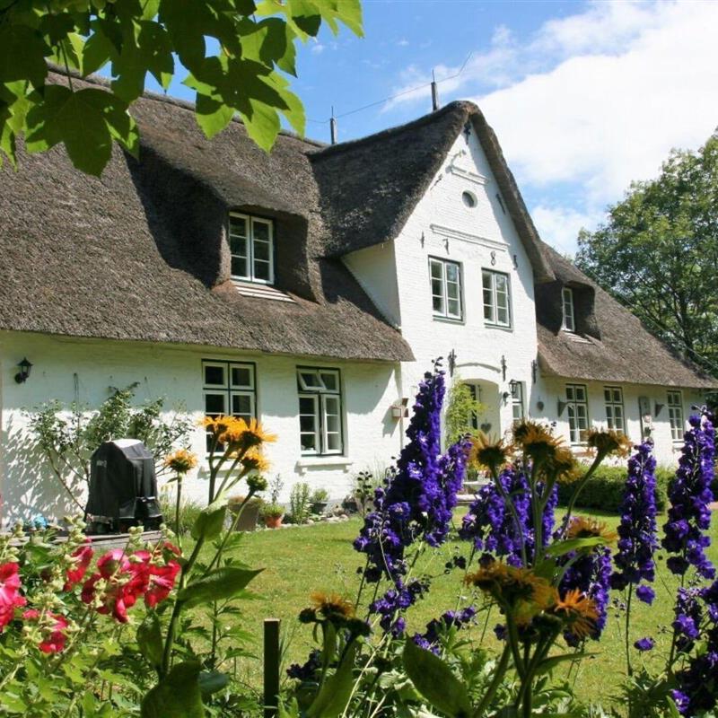 Sommerhus - 5 personer -  - 25889 - Uelvesbüll