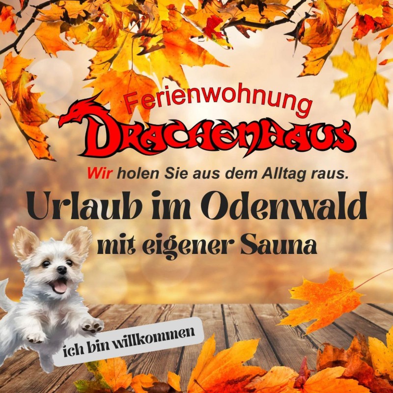 Ferielejlighed - 3 personer -  - Waldstraße - 64668 - Rimbach