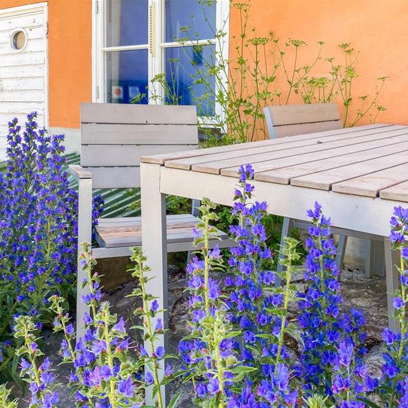 Ferielejlighed - 3 personer -  - Kanngjutaregränd - 621 57 - Visby