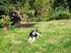Billede 4