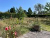 Billede 15 - Ude