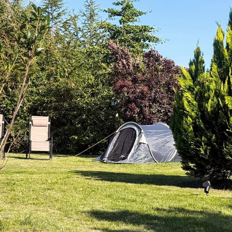 Ferienhaus - 6 Personen -  - Alumevangen - Gilleleje - 3250 - North And East Zealand