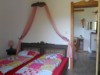 Bild 64