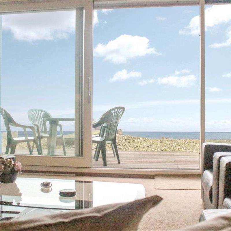 Ferielejlighed - 3 personer -  - Port Scaldis - 4511 DB - Breskens