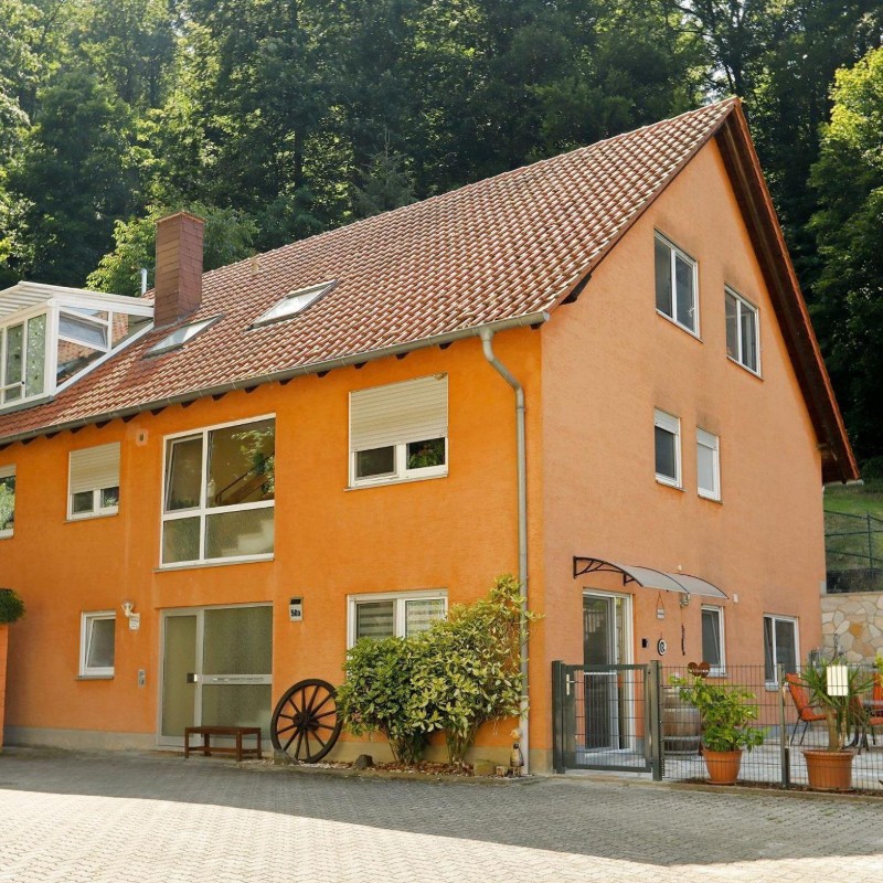 Ferielejlighed - 3 personer -  - Prof.-Dillinger-Weg 50 A - 67098 - Bad Dürkheim / Hausen