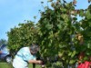 Bild 17