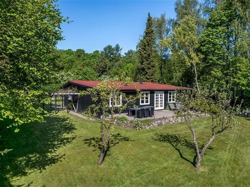 Sommerhus - 6 personer -  - Thorsvej - Dyndet, Borup - 4140 - Borup