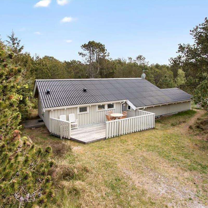 Ferienhaus - 5 Personen -  - Musvågevej - Lodskovvad - 9982 - Aalbæk