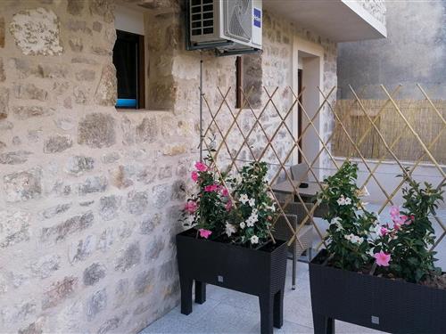 Semesterlägenhet - 2 personer -  - Tezacka - Hvar - Hvar - 21450 - Hvar