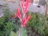Billede 3