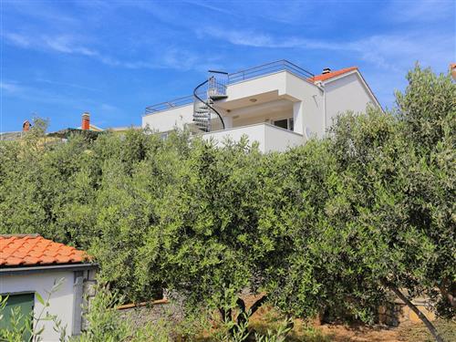 Ferieleilighet - 3 personer -  - Kanica - 22203 - Rogoznica