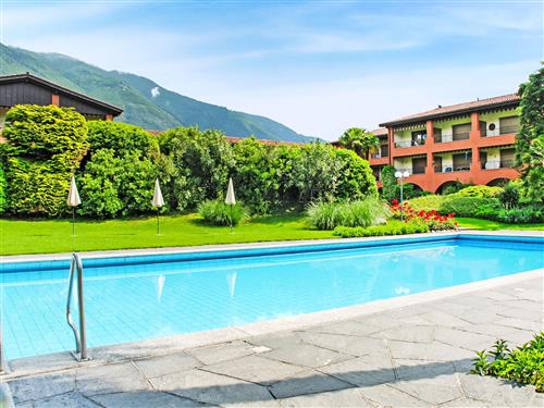 Holiday apartment - 4 persons -  - Ascona - 6612