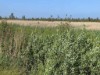 Bild 16 - Ude