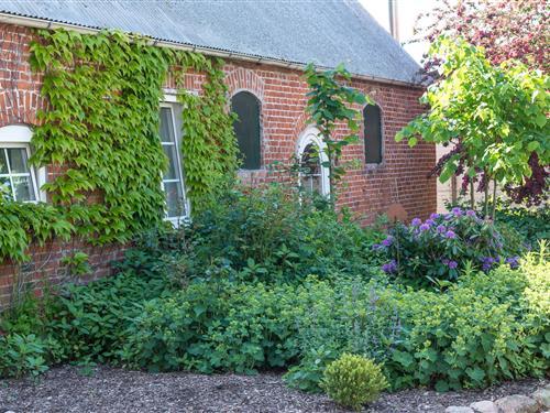 Ferielejlighed - 4 personer -  - Kolauerhof - 23743 - Grömitz