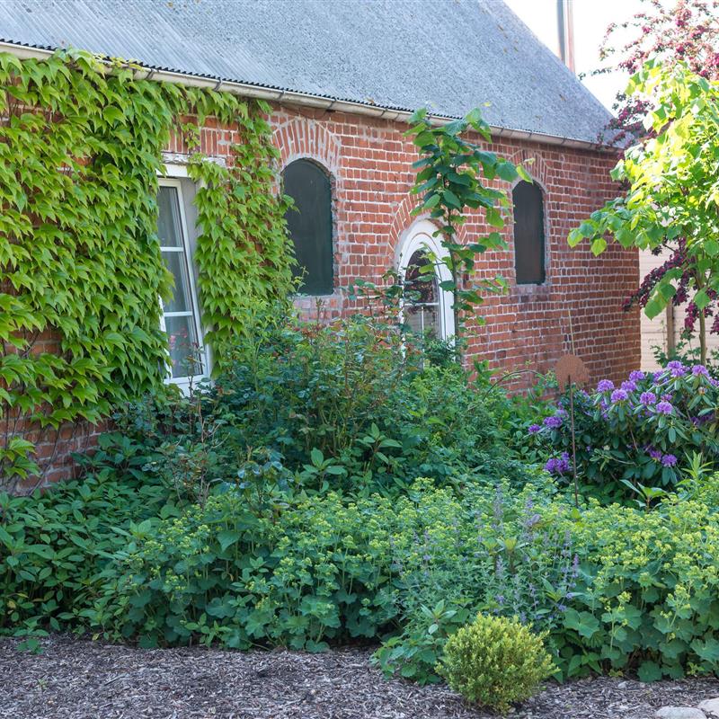 Ferielejlighed - 4 personer -  - Kolauerhof - 23743 - Grömitz