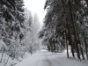 Bild 35 - Ude