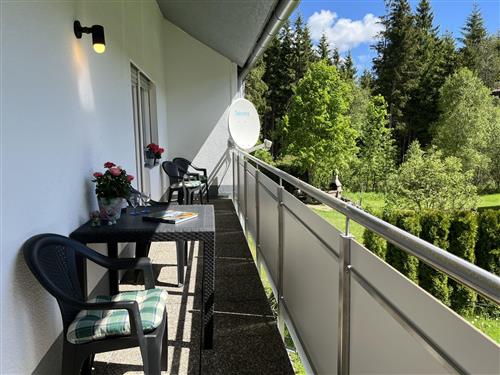 Ferienhaus - 4 Personen -  - Hinterzarten - 79856