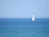 Bilde 6