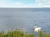 Billede 2 - Udsigt over vand