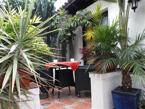 Ferienhaus - 2 Personen -  - Calle San Antonio - 38430 - Icod De Los Vinos