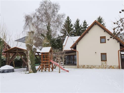 Fritidshus - 12 personer -  - Badacsonyörs - 8257