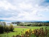 Bild 2 - Blick über's Wasser