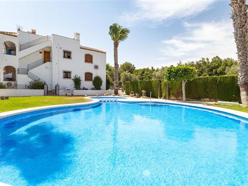 Sommerhus - 4 personer -  - C/ Otelo, 2 Apto - 03189 - Orihuela Costa