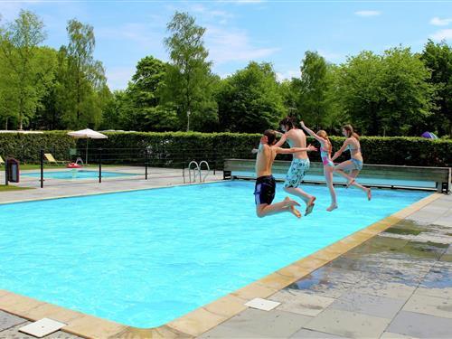 Villa - 18 personer -  - 8346KB - De Bult - Steenwijk