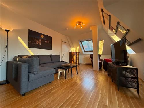 Ferielejlighed - 4 personer -  - Käthe-Kollwitz-Ufer - 01309 - Dresden