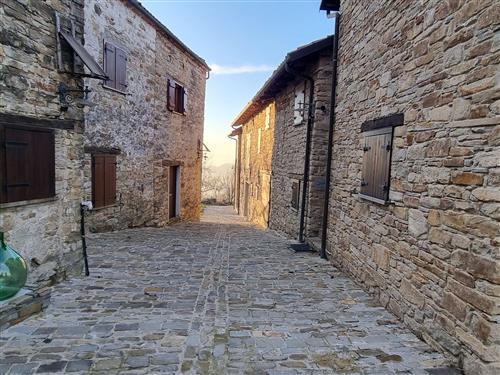 Værelse - 2 personer -  - Olmo Gentile - 14050