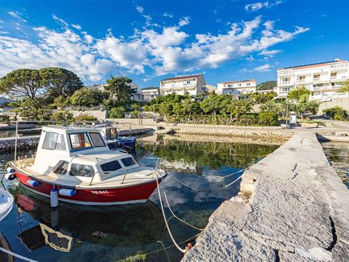 Ferielejlighed - 3 personer -  - 51280 - Rab