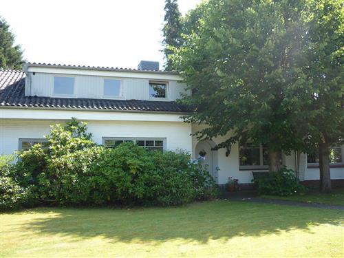 Ferienwohnung - 2 Personen -  - Süderstr. - 24980 - Wallsbüll