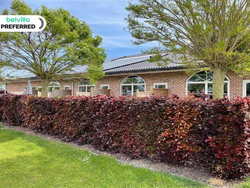 Holiday apartment - 5 persons -  - 4503GB - Groede