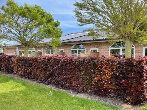 Ferielejlighed - 5 personer -  - 4503GB - Groede