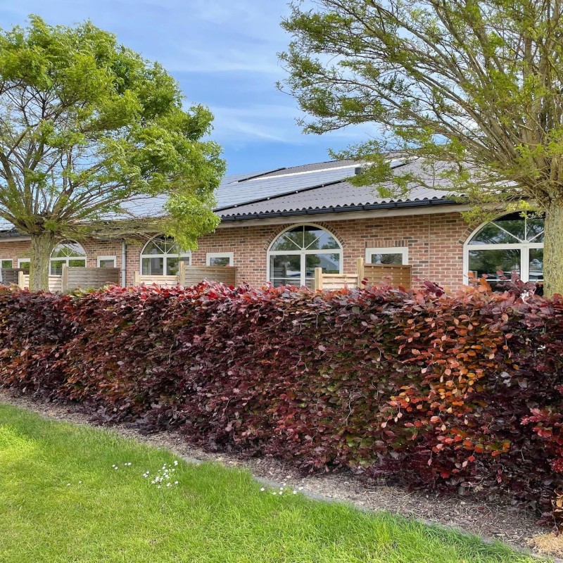 Ferielejlighed - 5 personer -  - 4503GB - Groede