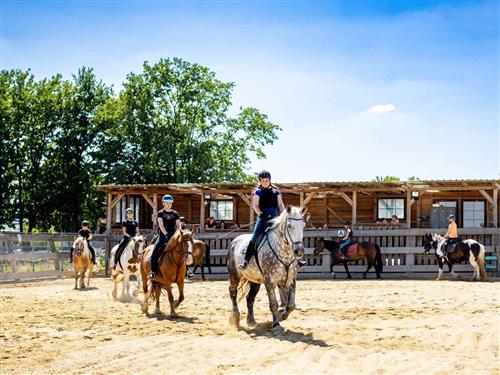 Ferienhaus - 4 Personen -  - Mittelpöllnitzer Straße - 07819 - Triptis - Ot Oberpöllnitz