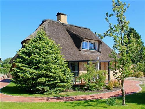 Sommerhus - 6 personer -  - Immenseeweg - 25826 - St Peter-Ording