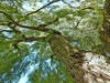 Image 13