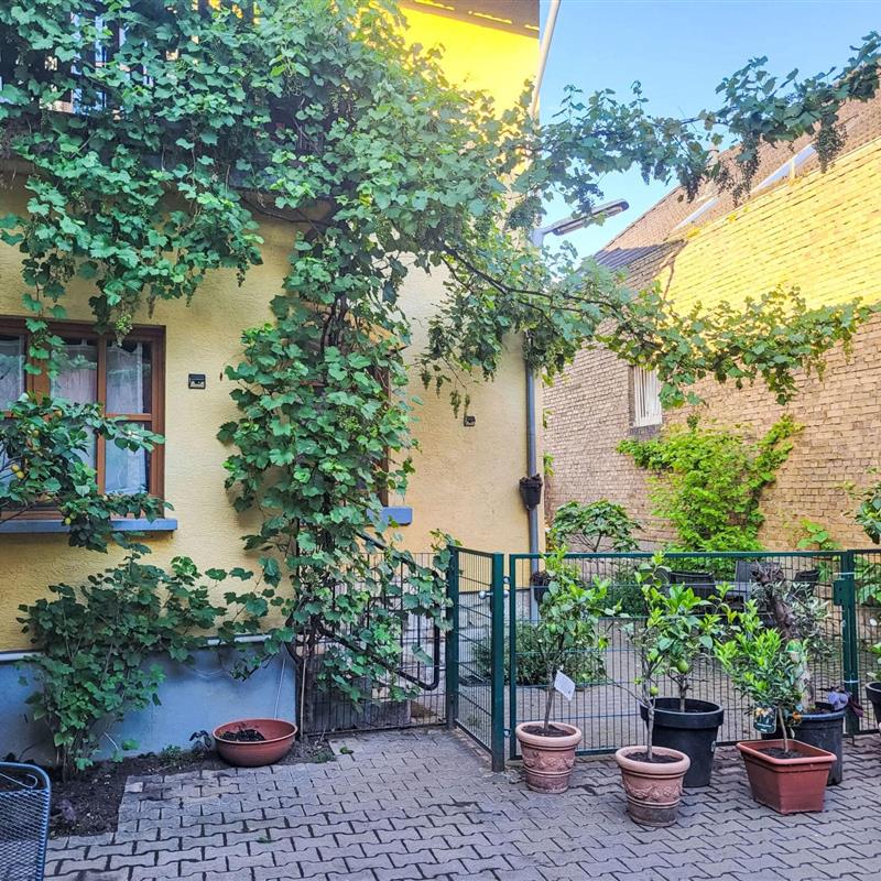 Ferielejlighed - 4 personer -  - Gau-Weinheim - 55578