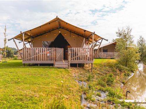 Tent lodge - 6 persons -  - 1619EH - Andijk