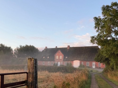 Ferielejlighed - 4 personer -  - Ellerbüll - 25856 - Hattstedtermarsch