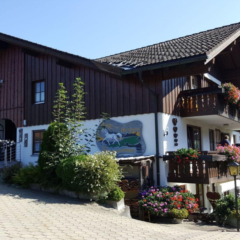 Ferielejlighed - 5 personer -  - Burgschrofenweg - 87538 - Obermaiselstein