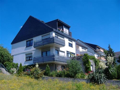 Ferielejlighed - 2 personer -  - St.-Briktius-Weg - 54470 - Bernkastel-Kues