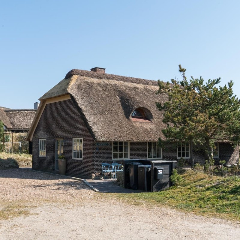 Sommerhus - 6 personer -  - Ranunkelvej - 6854 - Henne Strand