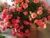 Image 27 - Outside